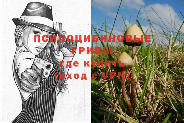 соль ск Инта