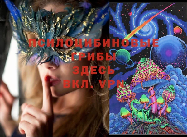 соль ск Инта