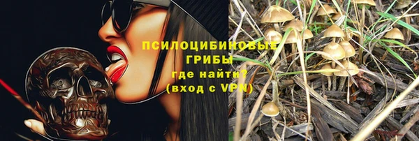 MESCALINE Иннополис