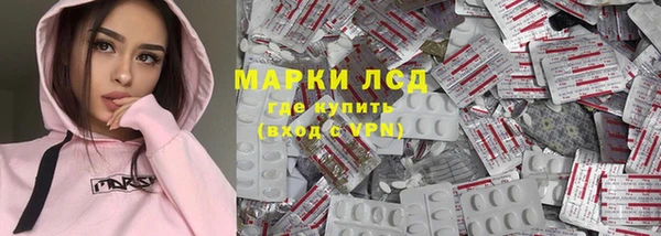 индика Щёлкино
