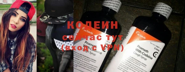 первитин Инсар