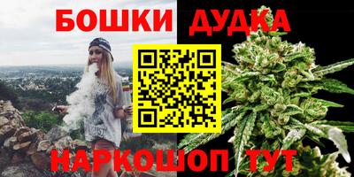 гидра Заволжье