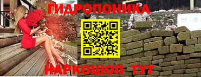 гидра Заволжье