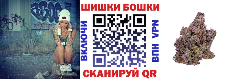 купить   Орск  мега как зайти  Бошки марихуана сатива 