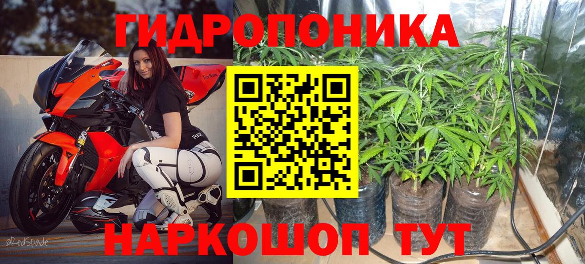 Конопля Bruce Banner Орск
